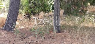 Οικόπεδο 400 τ.μ. για πώληση, Αχαΐα, Ρίο-thumb-17