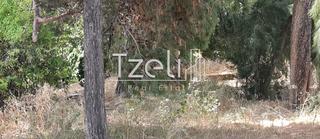 Οικόπεδο 400 τ.μ. για πώληση, Αχαΐα, Ρίο-thumb-27