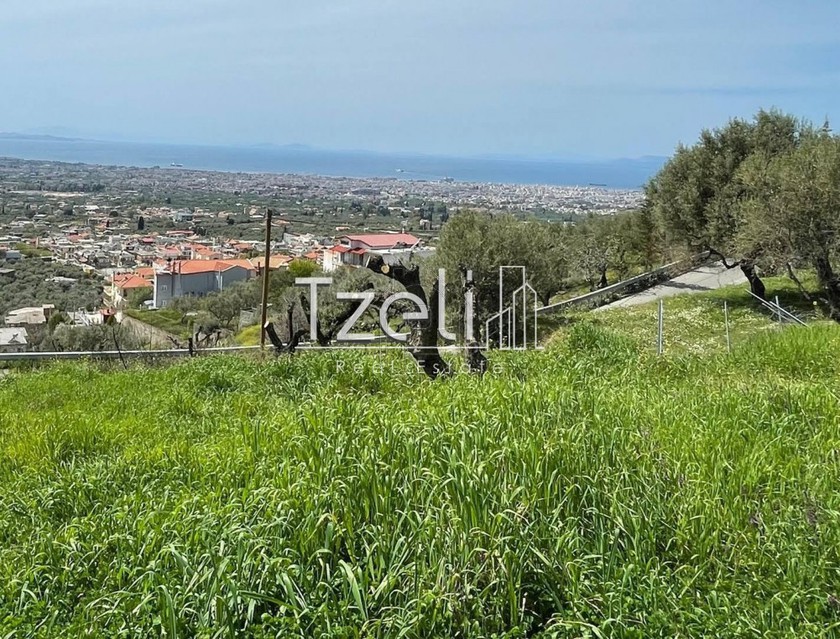 Land plot 632 sqm for sale