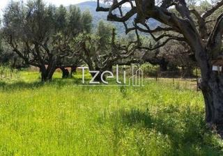 Οικόπεδο 632 τ.μ. για πώληση, Αχαΐα, Πάτρα-thumb-6