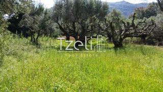Οικόπεδο 632 τ.μ. για πώληση, Αχαΐα, Πάτρα-thumb-22
