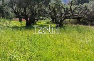 Οικόπεδο 632 τ.μ. για πώληση, Αχαΐα, Πάτρα-thumb-26