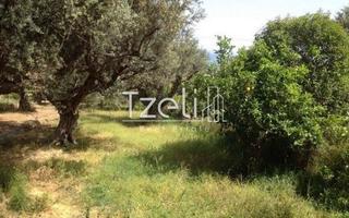 Οικόπεδο 632 τ.μ. για πώληση, Αχαΐα, Πάτρα-thumb-28