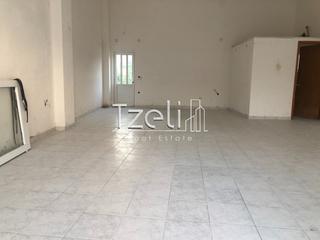Αποθήκη 76 τ.μ. για ενοικίαση, Αχαΐα, Μεσσατίδα-thumb-25