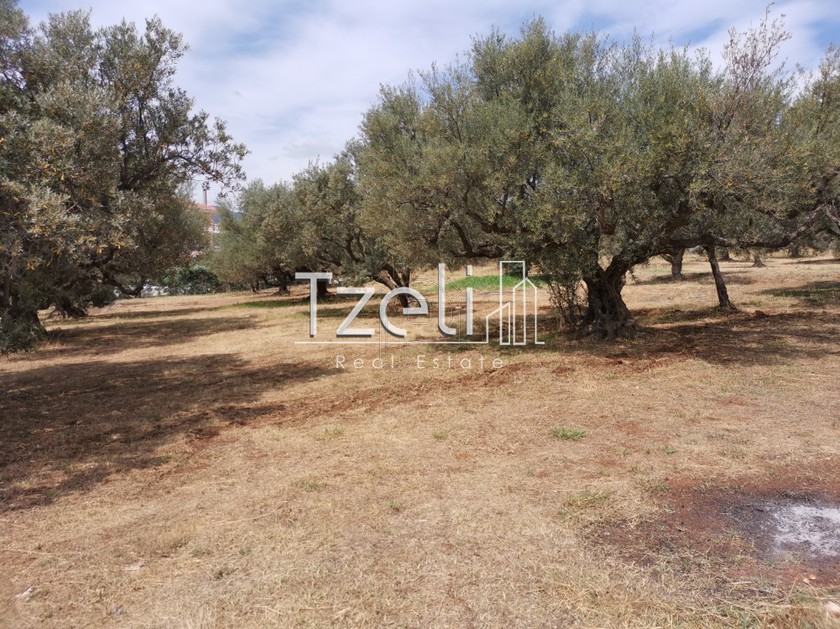 Land plot 960sqm for sale-Akrata » Silivainiotika