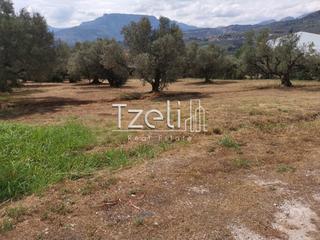 Οικόπεδο 670 τ.μ. για πώληση
