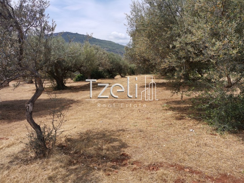 Οικόπεδο 670 τ.μ. για πώληση