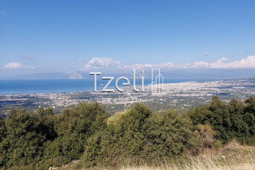 Οικόπεδο 2.500τ.μ. για πώληση-Μεσσατίδα » Κρήνη
