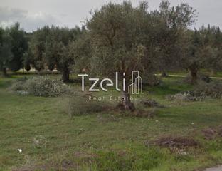 Οικόπεδο 200 τ.μ. για πώληση, Αχαΐα, Φαρές-thumb-9