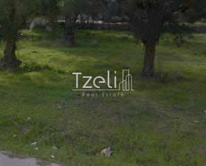 Οικόπεδο 200 τ.μ. για πώληση, Αχαΐα, Φαρές-thumb-11