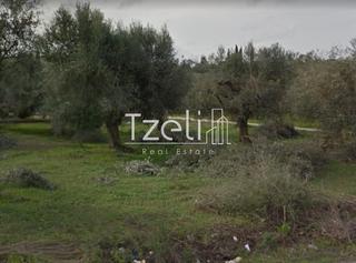 Οικόπεδο 200 τ.μ. για πώληση, Αχαΐα, Φαρές-thumb-13