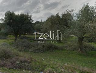 Οικόπεδο 200 τ.μ. για πώληση, Αχαΐα, Φαρές-thumb-15