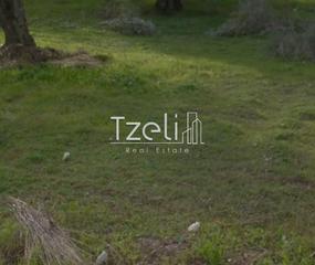 Οικόπεδο 200 τ.μ. για πώληση, Αχαΐα, Φαρές-thumb-18