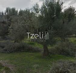 Οικόπεδο 200 τ.μ. για πώληση, Αχαΐα, Φαρές-thumb-19