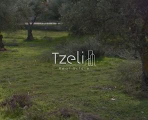 Οικόπεδο 200 τ.μ. για πώληση, Αχαΐα, Φαρές-thumb-20