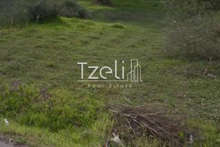 Οικόπεδο 200 τ.μ. για πώληση, Αχαΐα, Φαρές-thumb-21