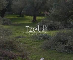 Οικόπεδο 200 τ.μ. για πώληση, Αχαΐα, Φαρές-thumb-23