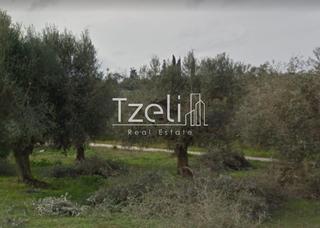 Οικόπεδο 200 τ.μ. για πώληση, Αχαΐα, Φαρές-thumb-24