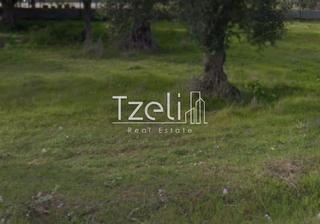 Οικόπεδο 200 τ.μ. για πώληση, Αχαΐα, Φαρές-thumb-25