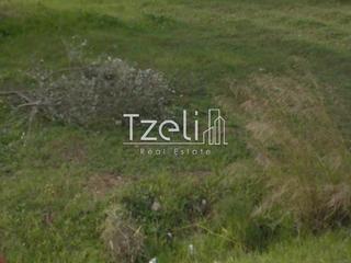 Οικόπεδο 200 τ.μ. για πώληση, Αχαΐα, Φαρές-thumb-29