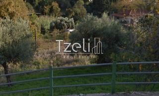 Οικόπεδο 200 τ.μ. για πώληση, Αχαΐα, Φαρές-thumb-2