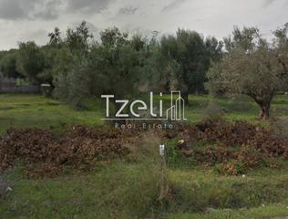 Οικόπεδο 200 τ.μ. για πώληση, Αχαΐα, Φαρές-thumb-5