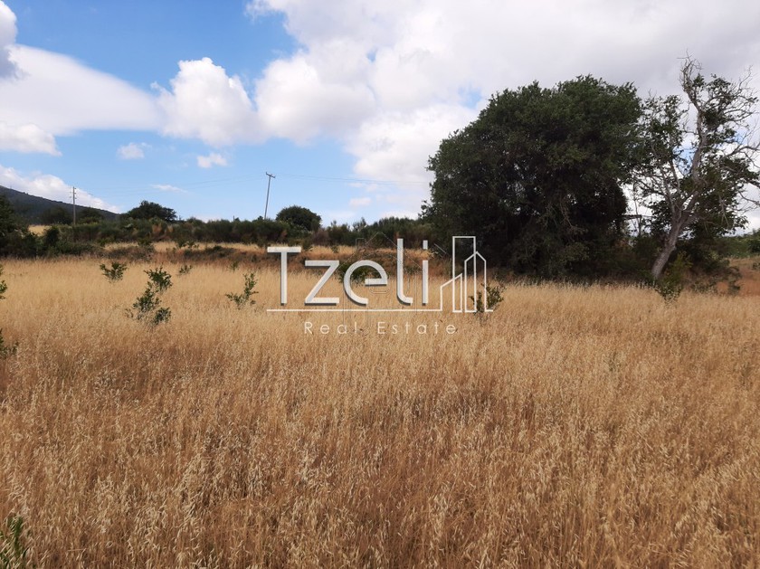 Land plot 5.250sqm for sale-Rio » Ano Kastritsi