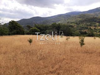 Οικόπεδο 5.250 τ.μ. για πώληση, Αχαΐα, Ρίο-thumb-1