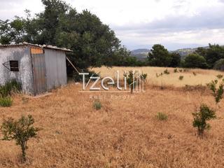 Οικόπεδο 5.250 τ.μ. για πώληση, Αχαΐα, Ρίο-thumb-5