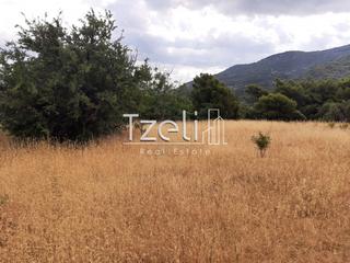 Οικόπεδο 5.250 τ.μ. για πώληση, Αχαΐα, Ρίο-thumb-9