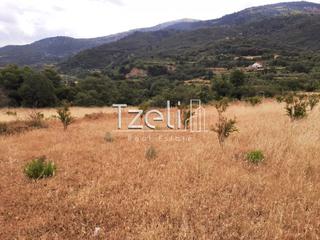 Οικόπεδο 5.250 τ.μ. για πώληση, Αχαΐα, Ρίο-thumb-11