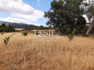 Οικόπεδο 5.250 τ.μ. για πώληση, Αχαΐα, Ρίο-thumb-14