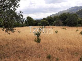 Οικόπεδο 5.250 τ.μ. για πώληση, Αχαΐα, Ρίο-thumb-16