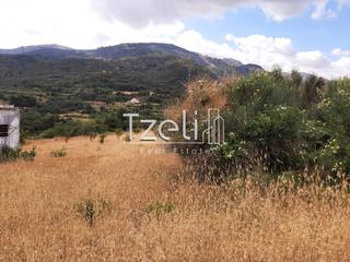 Οικόπεδο 5.250 τ.μ. για πώληση, Αχαΐα, Ρίο-thumb-17