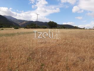 Οικόπεδο 5.250 τ.μ. για πώληση, Αχαΐα, Ρίο-thumb-19