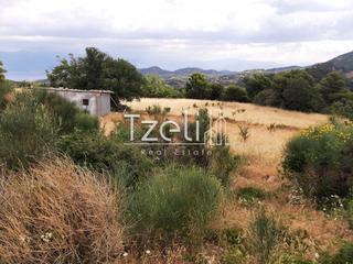 Οικόπεδο 5.250 τ.μ. για πώληση, Αχαΐα, Ρίο-thumb-21