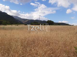 Οικόπεδο 5.250 τ.μ. για πώληση, Αχαΐα, Ρίο-thumb-22
