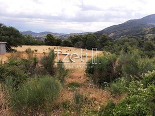 Οικόπεδο 5.250 τ.μ. για πώληση, Αχαΐα, Ρίο-thumb-23