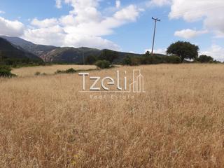 Οικόπεδο 5.250 τ.μ. για πώληση, Αχαΐα, Ρίο-thumb-24