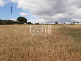Οικόπεδο 5.250 τ.μ. για πώληση, Αχαΐα, Ρίο-thumb-26