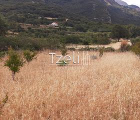 Οικόπεδο 5.250 τ.μ. για πώληση, Αχαΐα, Ρίο-thumb-27