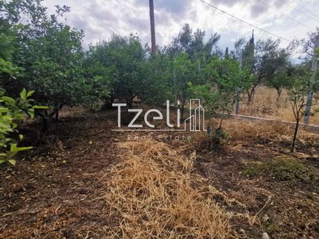 Parcel 2.560sqm for sale-Diakopto » Terpsithea