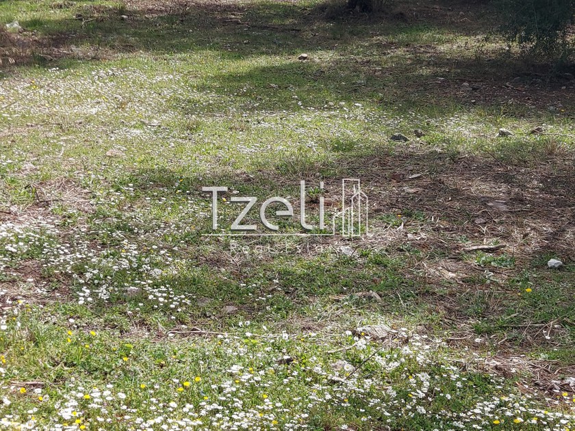 Land plot 115sqm for sale-Patra » Zavlani