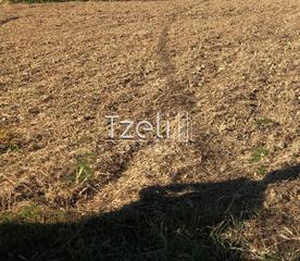 Οικόπεδο 550 τ.μ. για πώληση, Αχαΐα, Μεσσατίδα-thumb-12