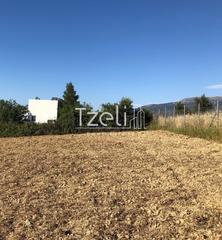 Οικόπεδο 550 τ.μ. για πώληση, Αχαΐα, Μεσσατίδα-thumb-17