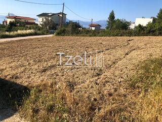 Οικόπεδο 550 τ.μ. για πώληση, Αχαΐα, Μεσσατίδα-thumb-20