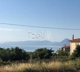 Οικόπεδο 550 τ.μ. για πώληση, Αχαΐα, Μεσσατίδα-thumb-22