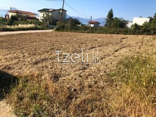 Οικόπεδο 550 τ.μ. για πώληση, Αχαΐα, Μεσσατίδα-thumb-26
