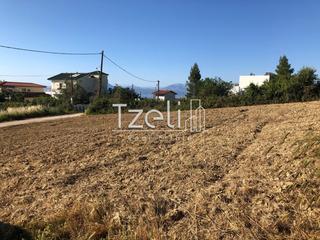 Οικόπεδο 550 τ.μ. για πώληση, Αχαΐα, Μεσσατίδα-thumb-27