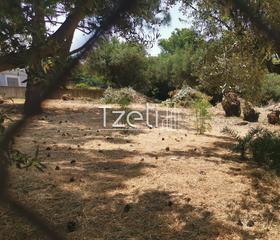 Οικόπεδο 1.024 τ.μ. για πώληση